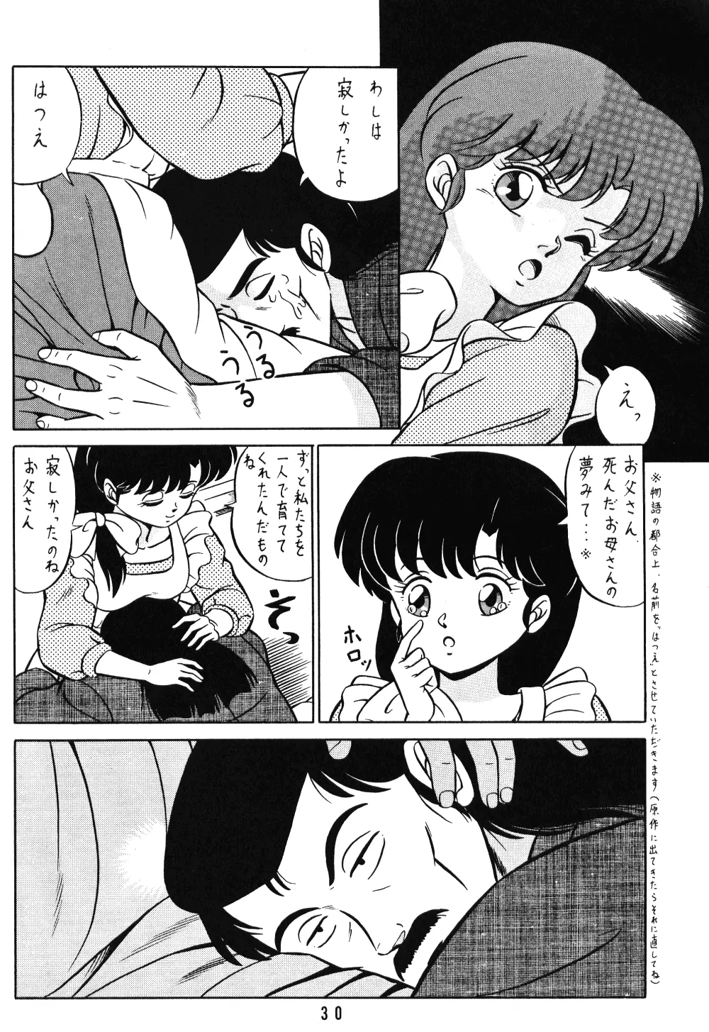 天道家の娘たち Vol.1 - page29