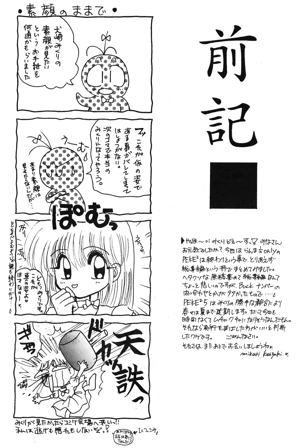 乱馬のまんま - page2