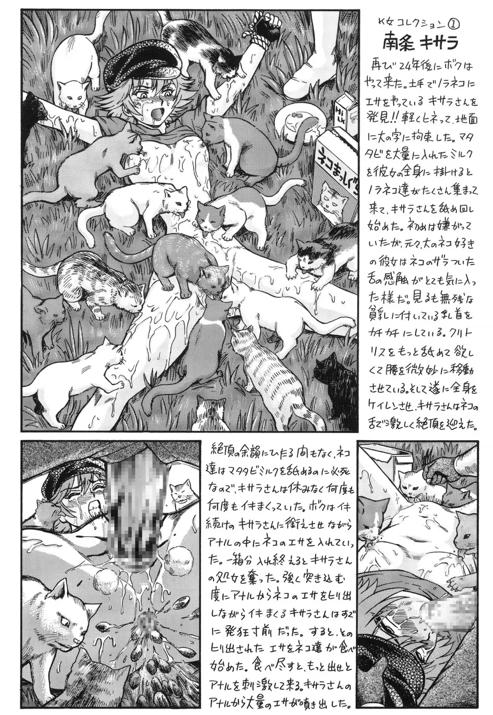 TAIL-MAN MIU FUURINNZI BOOK - page37