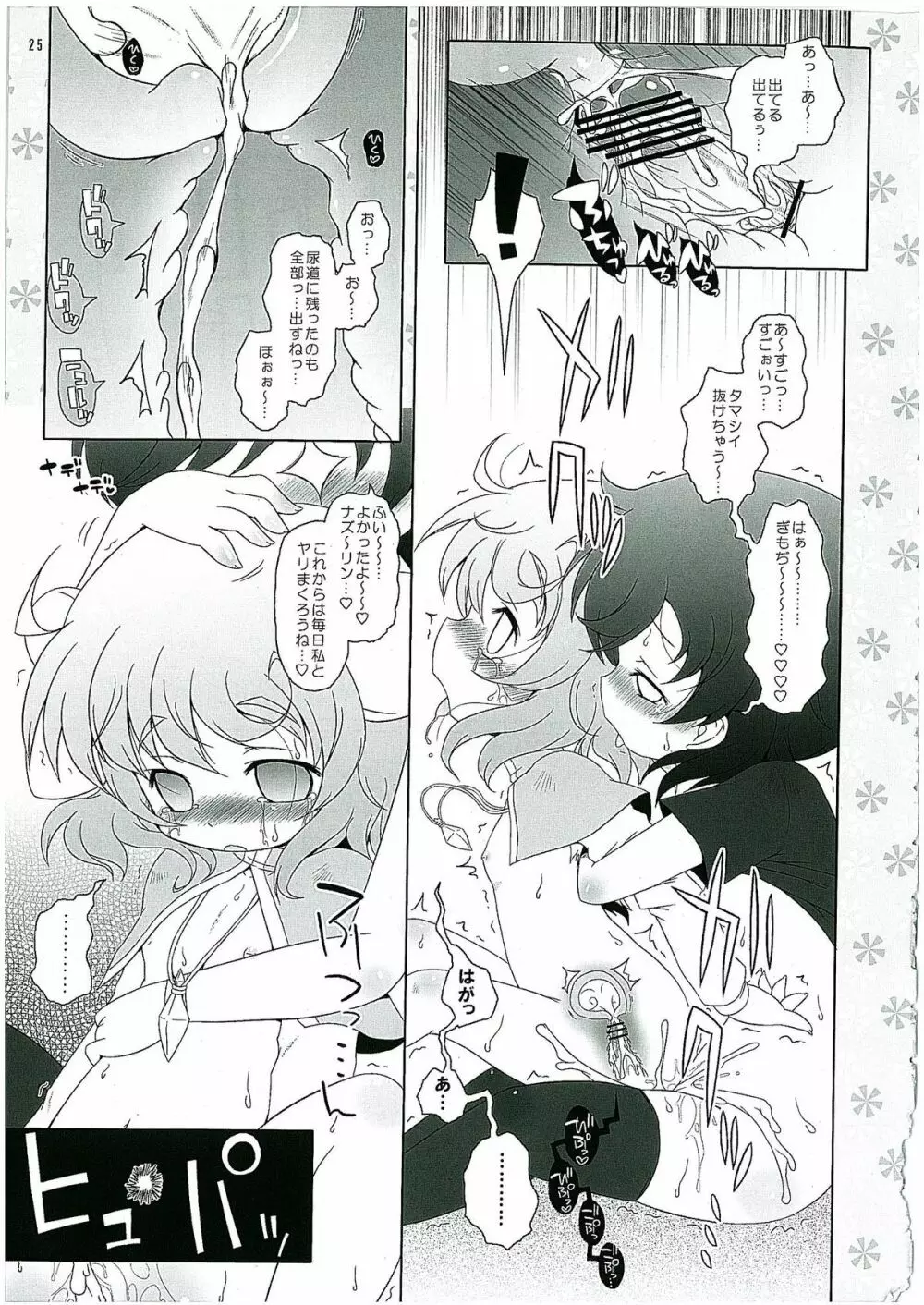 わたしのナズーリン2 - page24