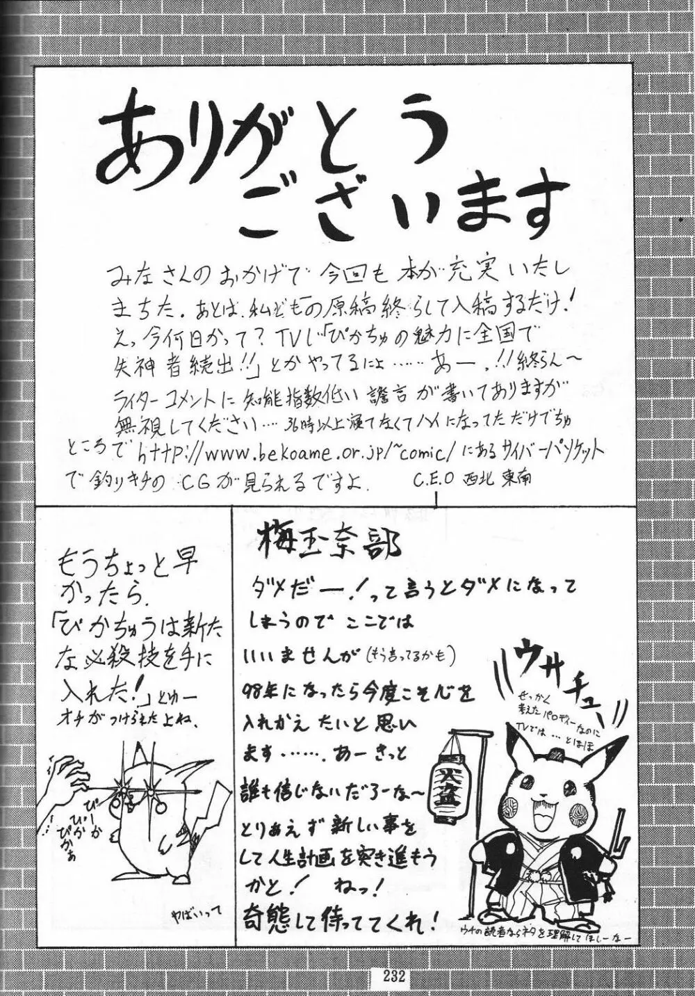 編笠Nan Demo-R - page238