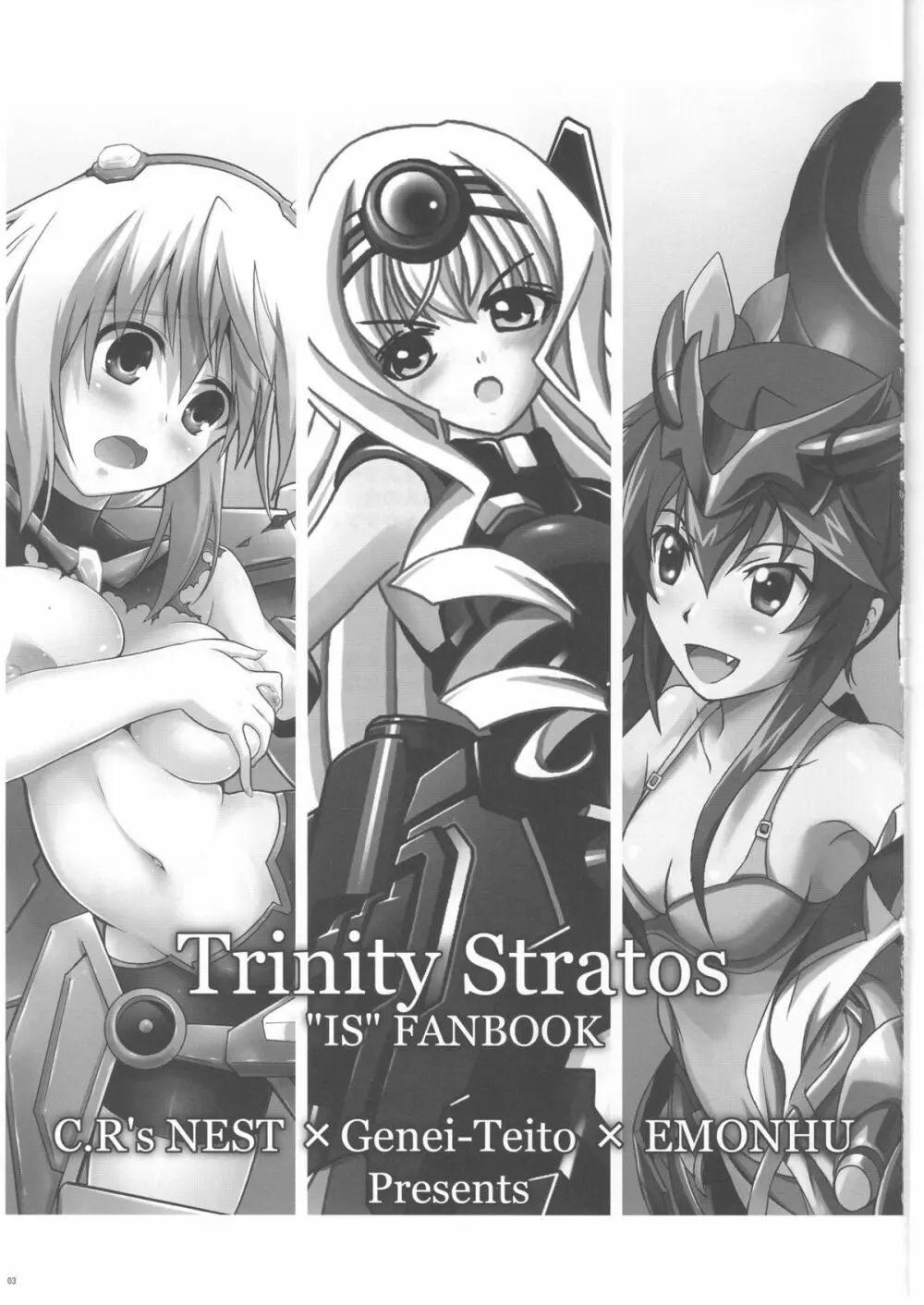 Trinity Stratos - page3