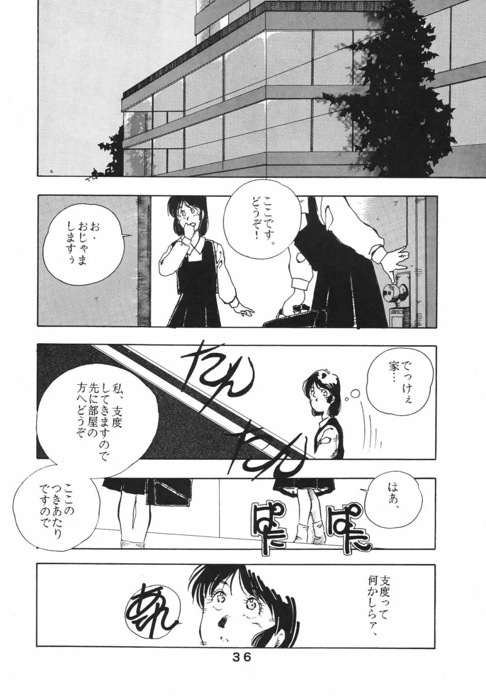 ぱぴっとVol.2 - page37