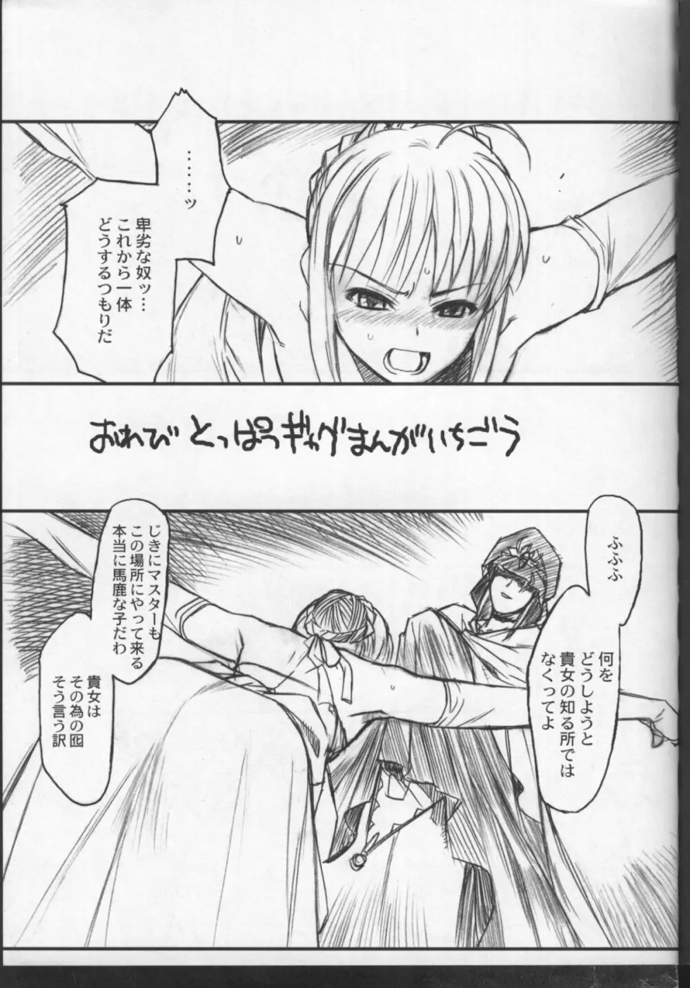 Fate/試製四式同人 - page14