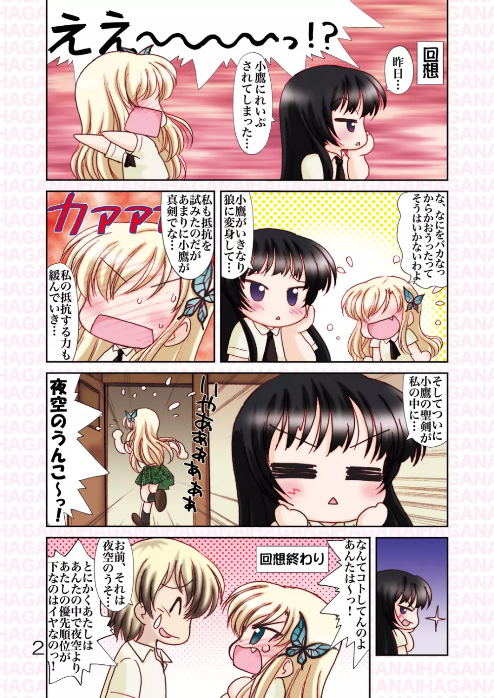 柏崎さん家のおいしい肉+ - page11