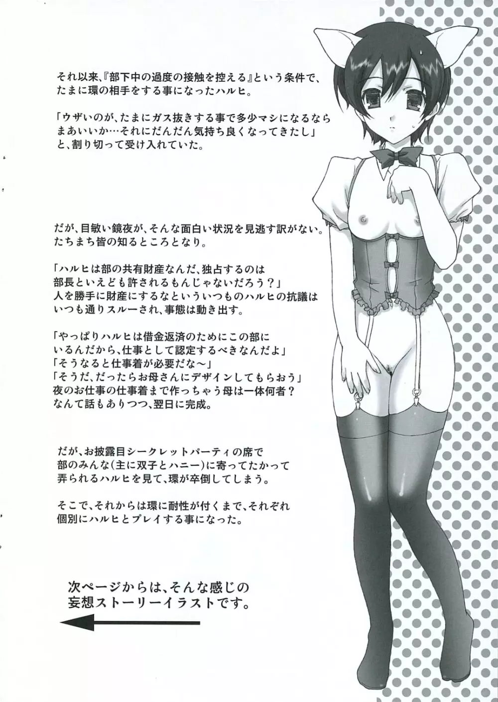 桜蘭高校ホスト部ファン倶楽部 - page14