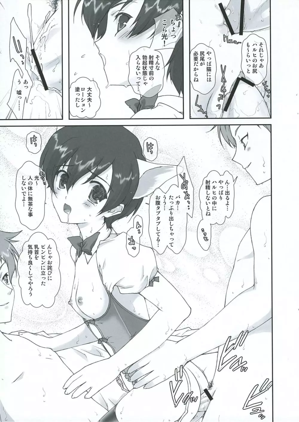 桜蘭高校ホスト部ファン倶楽部 - page17