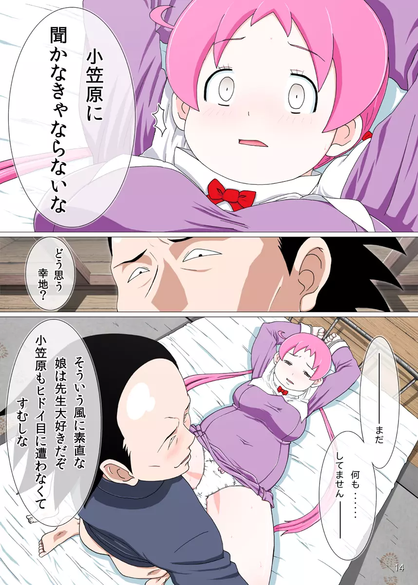 歪んだ愛情の皮を被った桃色洗脳プログラム - page14