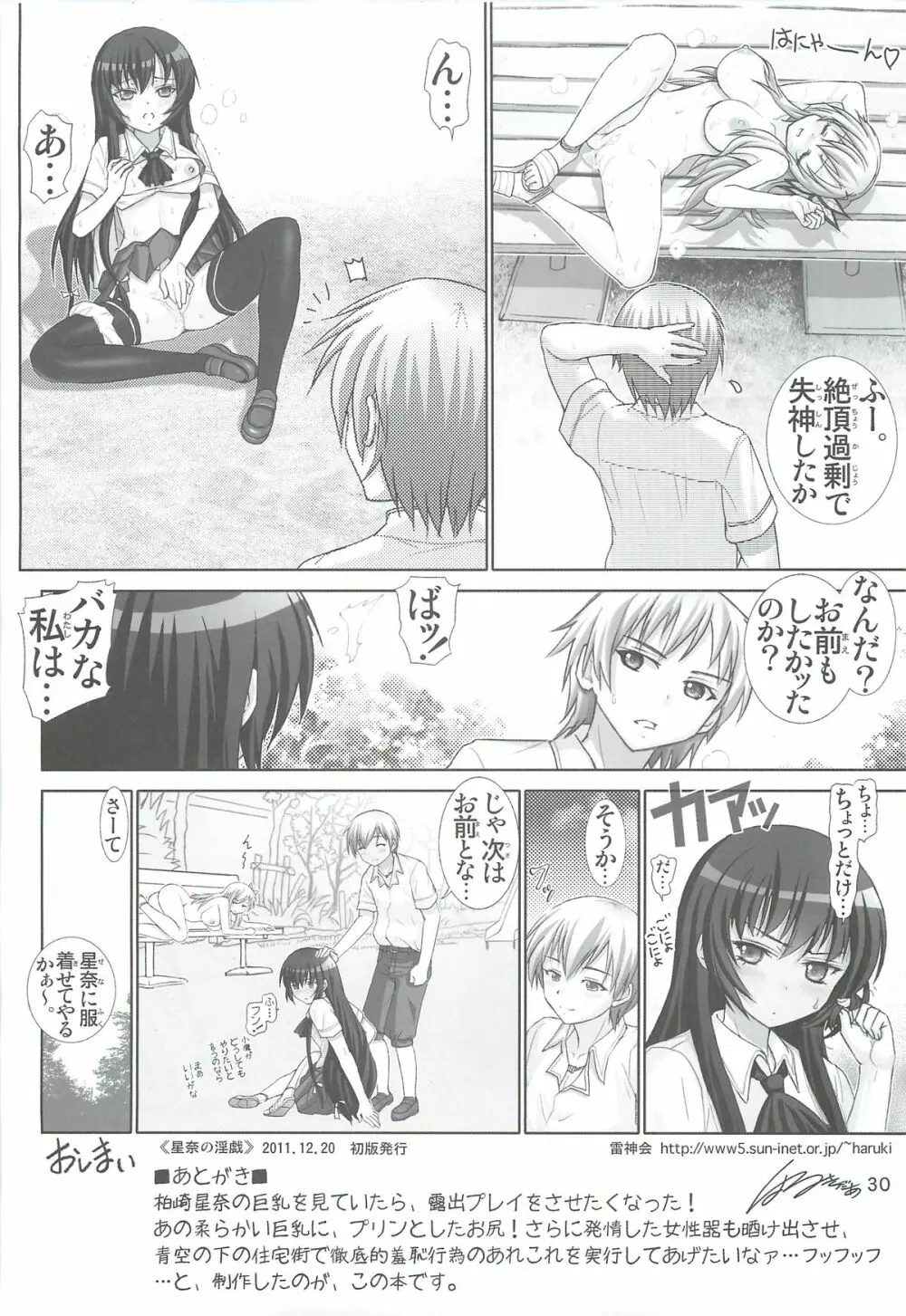 星奈の淫戯 - page29