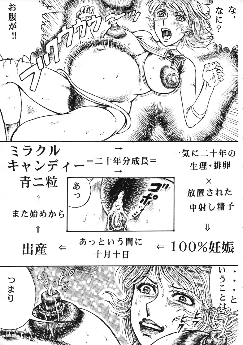 用心棒オタクまつり 8 - page12