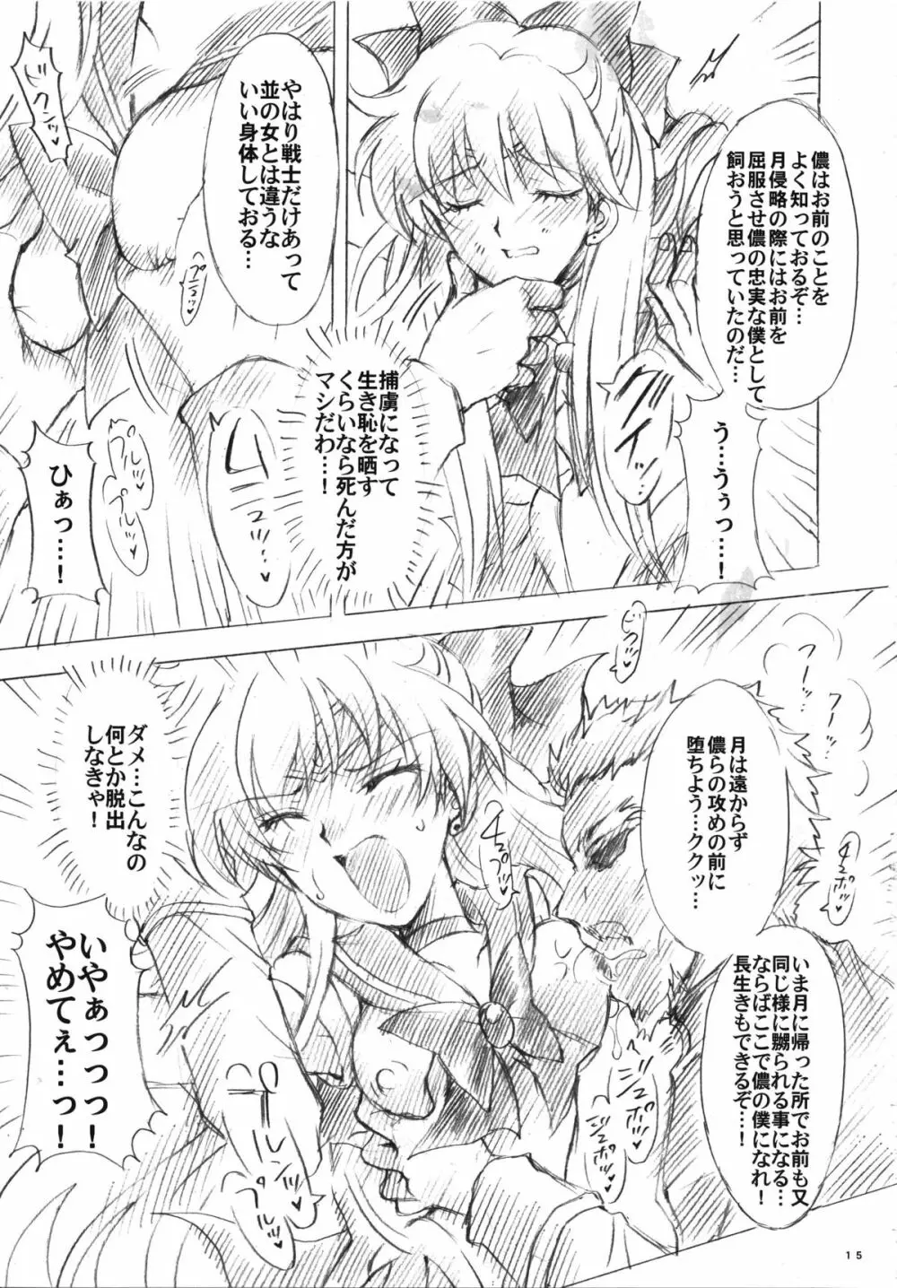 犠牲と祈りを… - page15