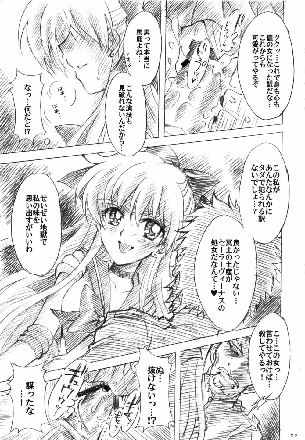 犠牲と祈りを… - page23