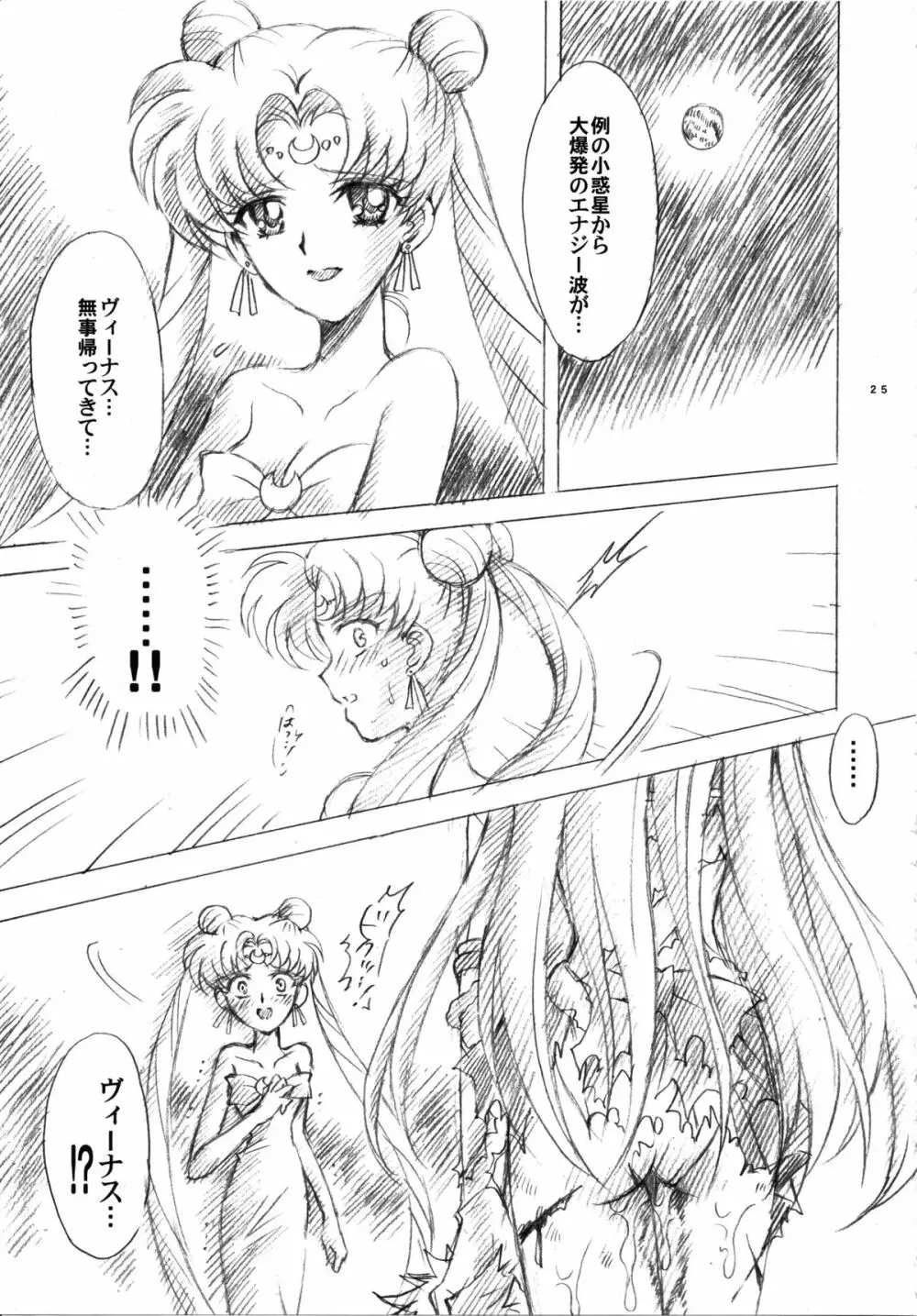 犠牲と祈りを… - page25