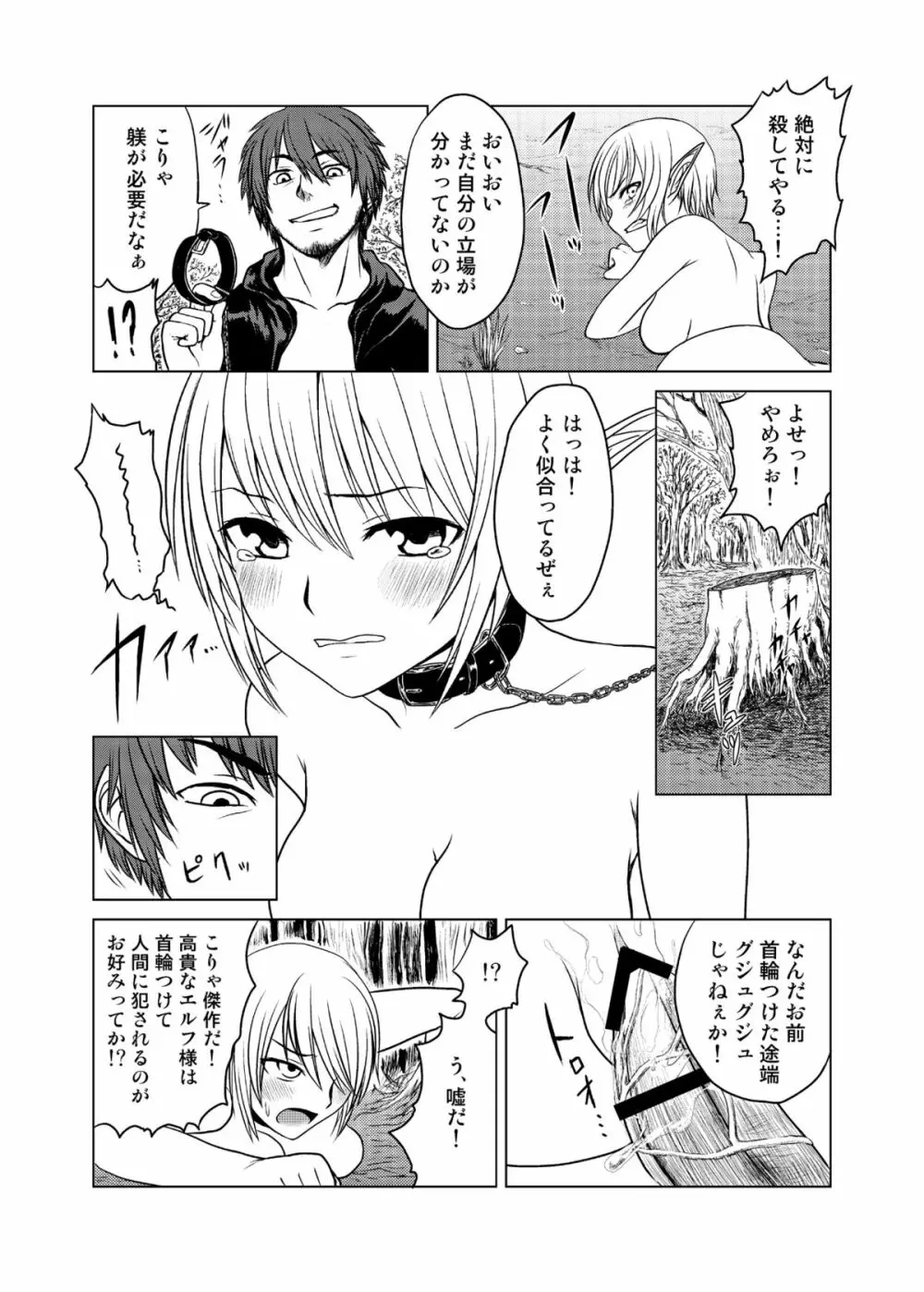 おっぱいとプライドばかりが立派なレベル1のエルフを魔法で動けなくして中出しレイプ - page12