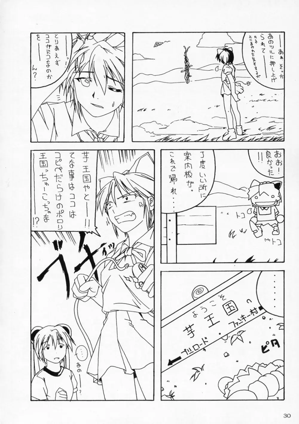 零X 0x0003 - page29