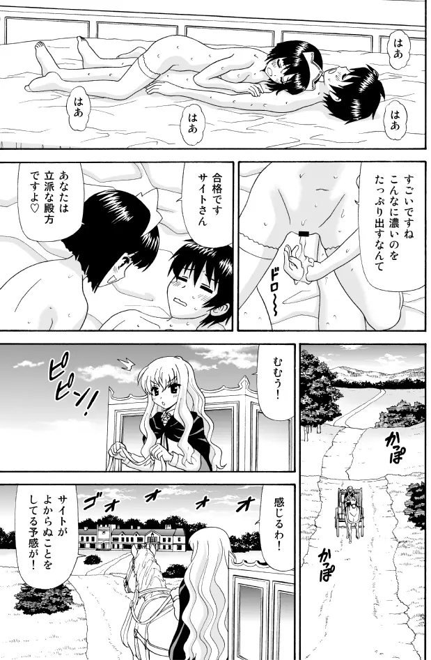 とあるメイドのたしなみ - page17