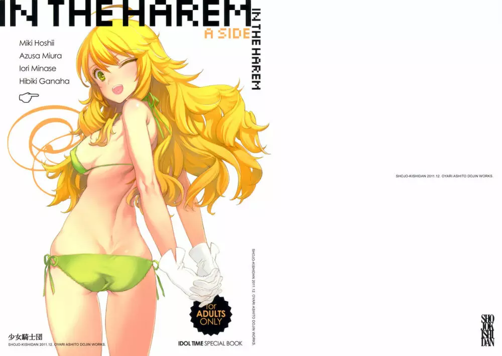 IN THE HAREM A SIDE - page1