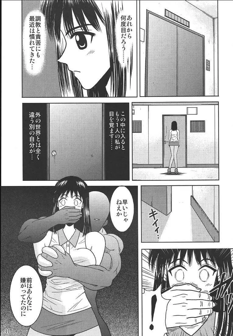 スレーブランブル 2 - page42