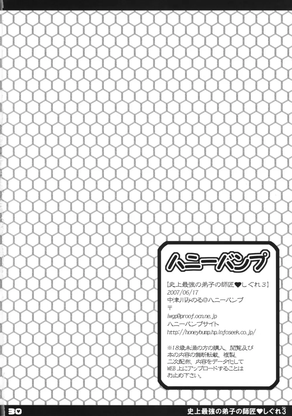 史上最強の弟子の師匠 しぐれ 3 - page29