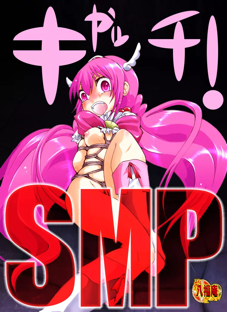 キャッチ！SMP