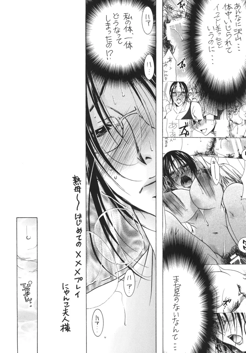 (C81) [M.MACABRE (にゃんこMIC) 熟母12 [DL版] - page5