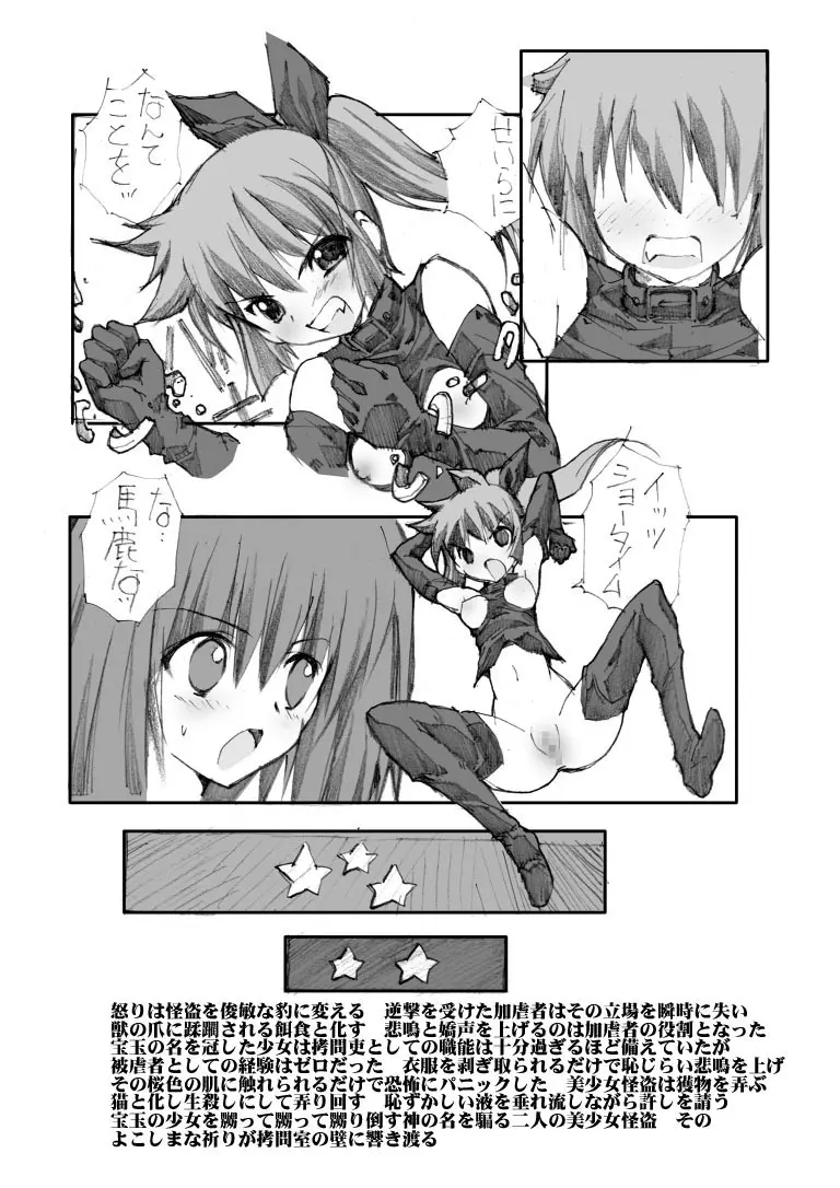 美少女怪盗陵辱拷問調教 - page14