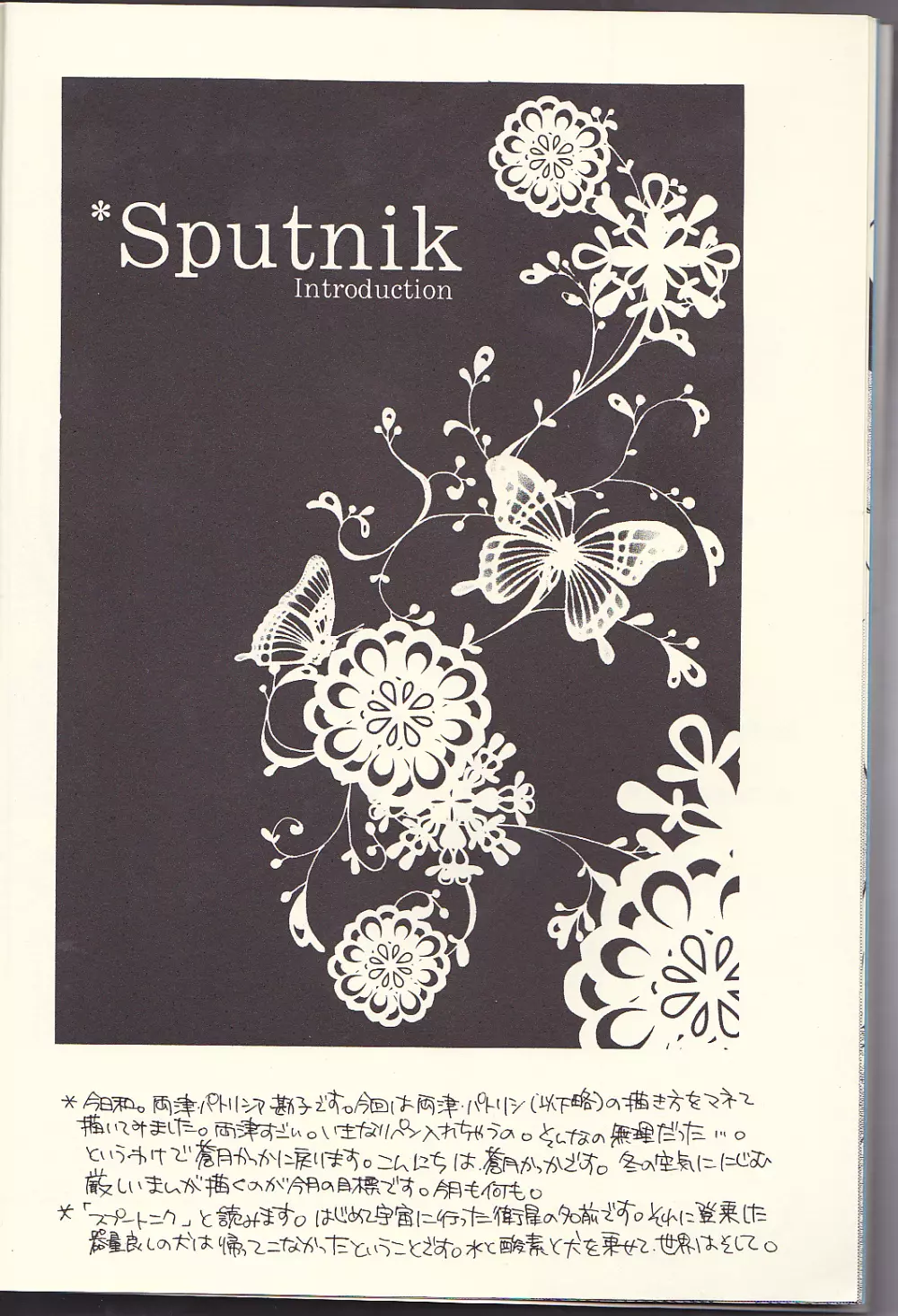 Sputnik Introduction - page10