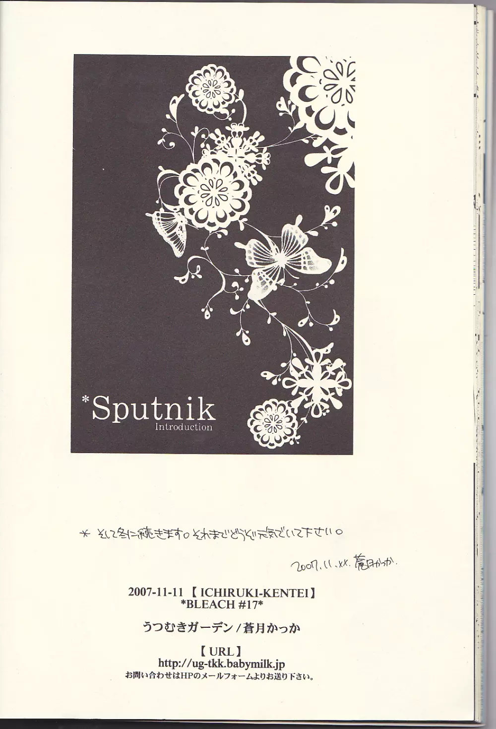 Sputnik Introduction - page24