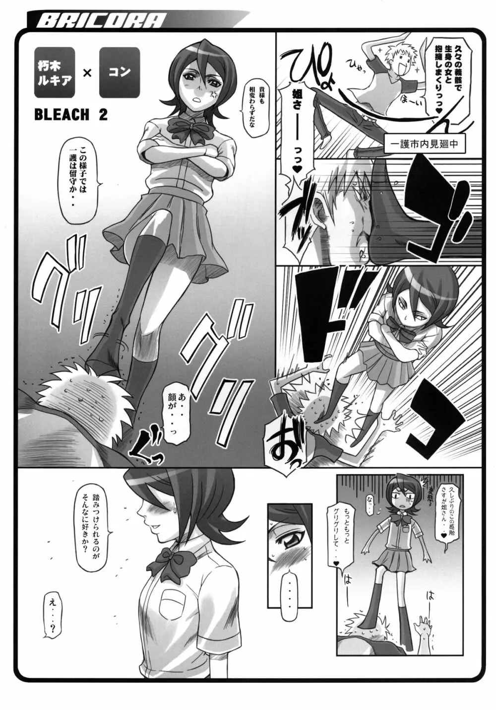 (C81) [ディオゲネスクラブ (灰川ヘムレン)] BRICOLA 総集編 (ブリーチ) デジタル版 - page10