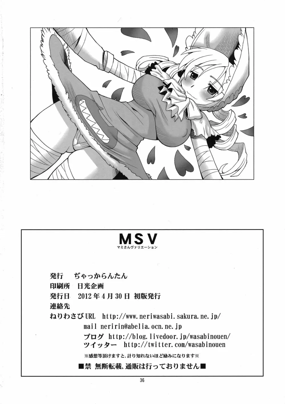 MSV - page36