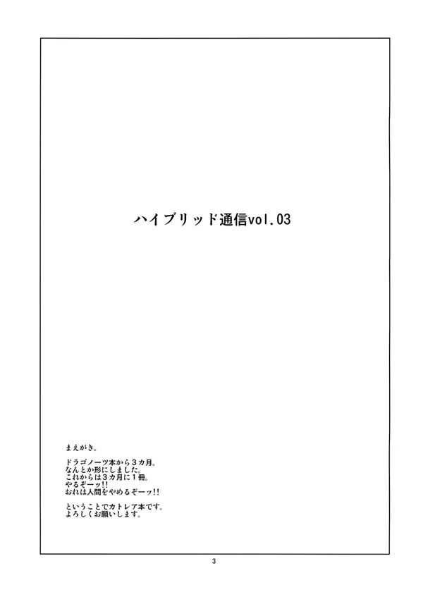 ハイブリッド通信増刊号vol.01 - page65