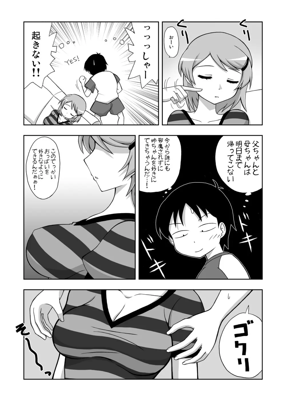 姉寝姦～あねかん～ - page5