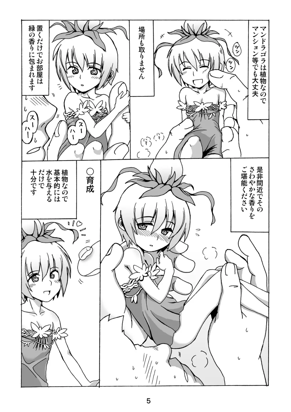 置くだけマンドラゴラ - page4