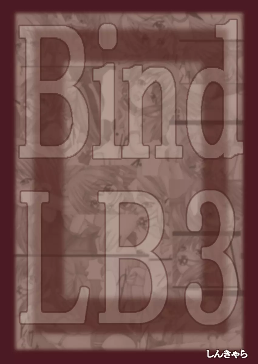 Bind LB3 - page31