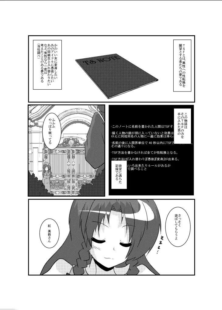 東方TS物語～美鈴編～ - page4