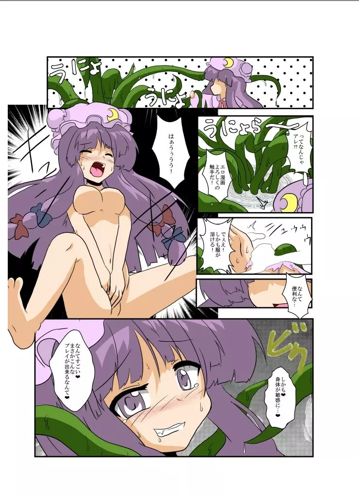 東方TS物語～パチュリー編～ - page9