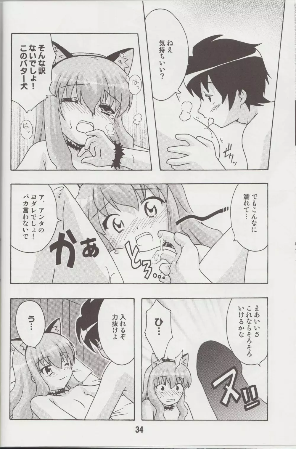 ルイズックス - page33