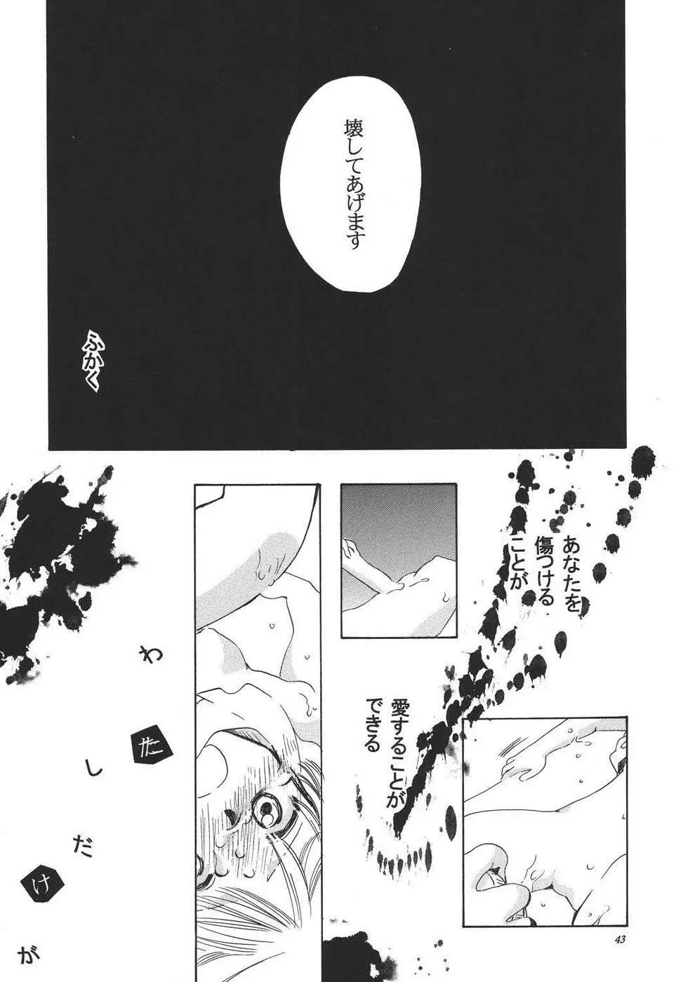 クレオール3 架空の宴 - page42