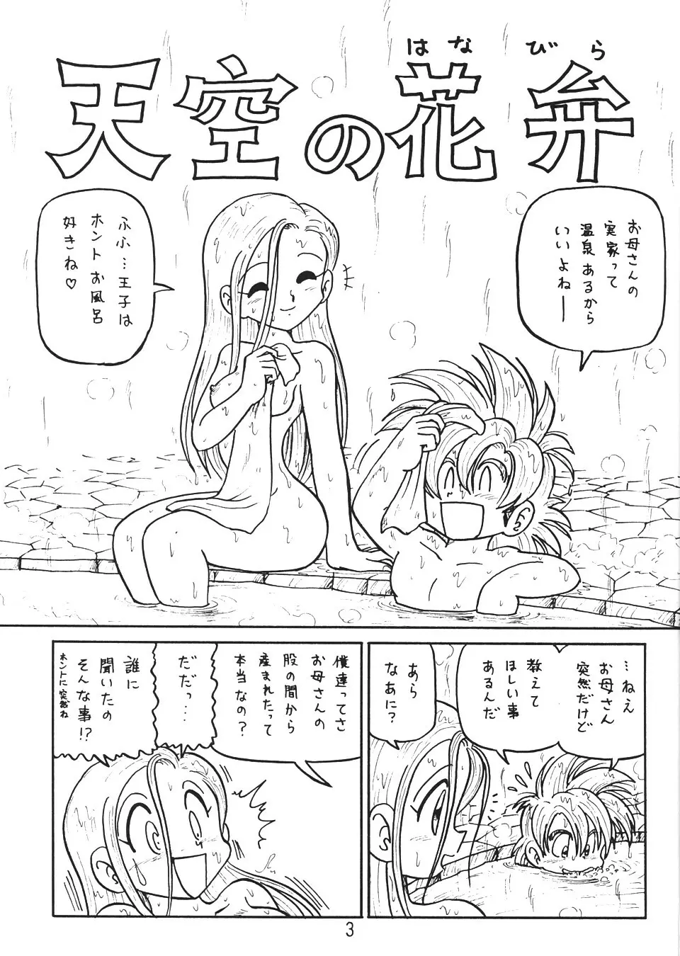 (C58) ([新高山登山 (新山たかし)] 没リヌス禁2 (ドラゴンクエスト) - page2