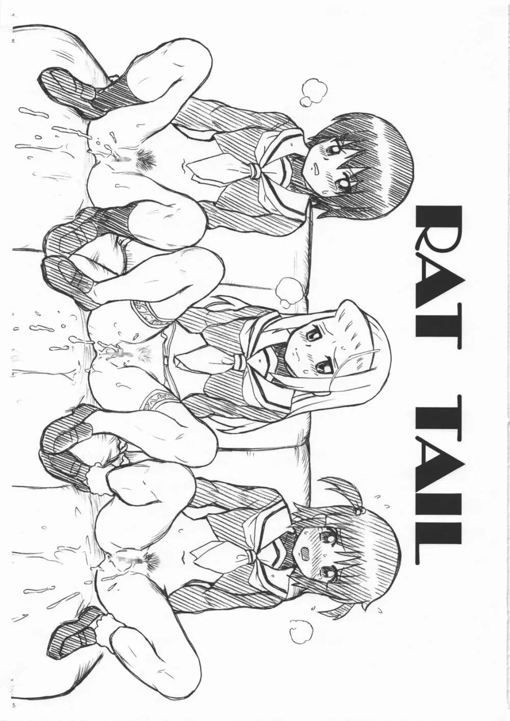 HAYATE FILE 泉・美希・理沙 画像集 - page10