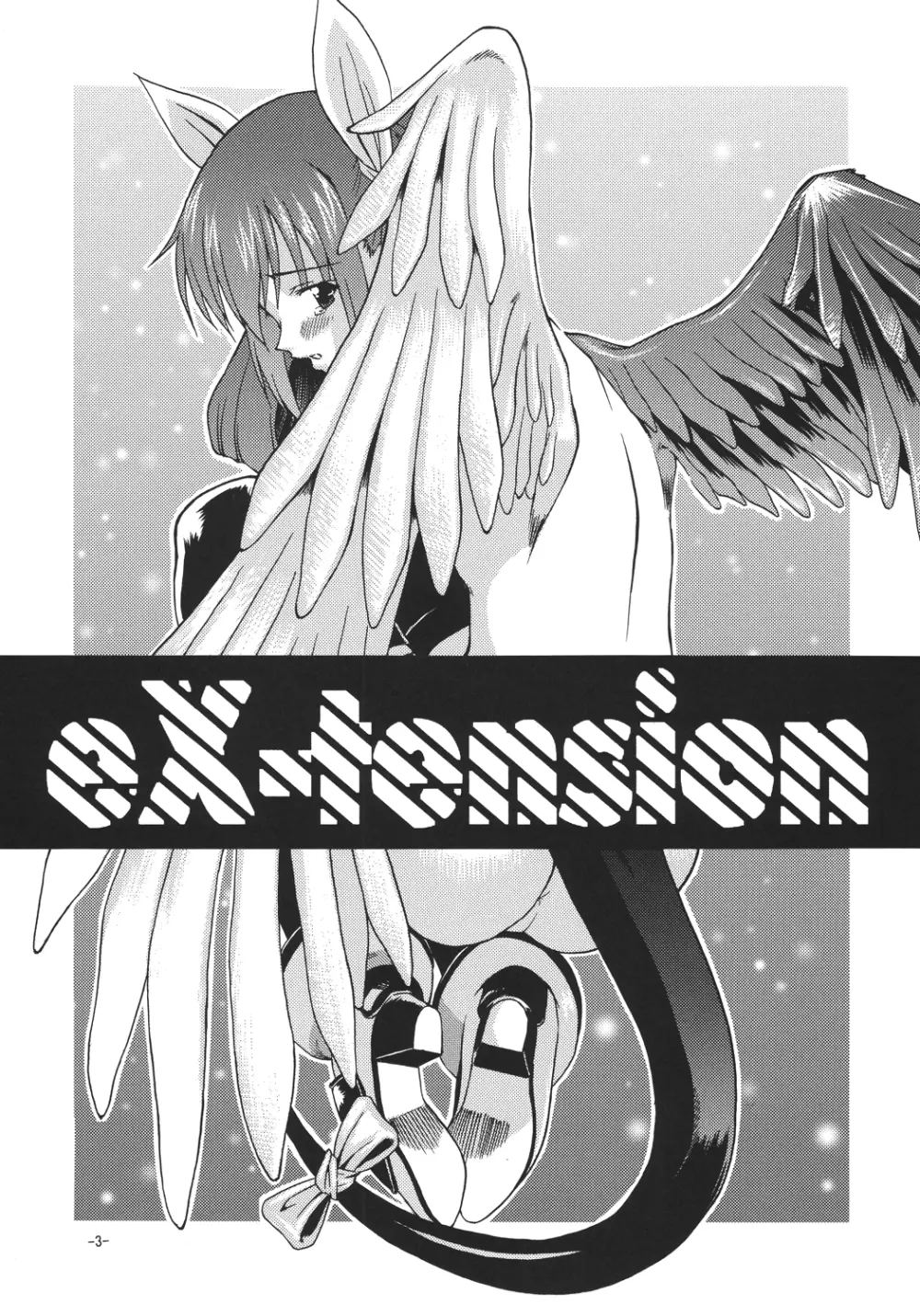 eX-tension - page3