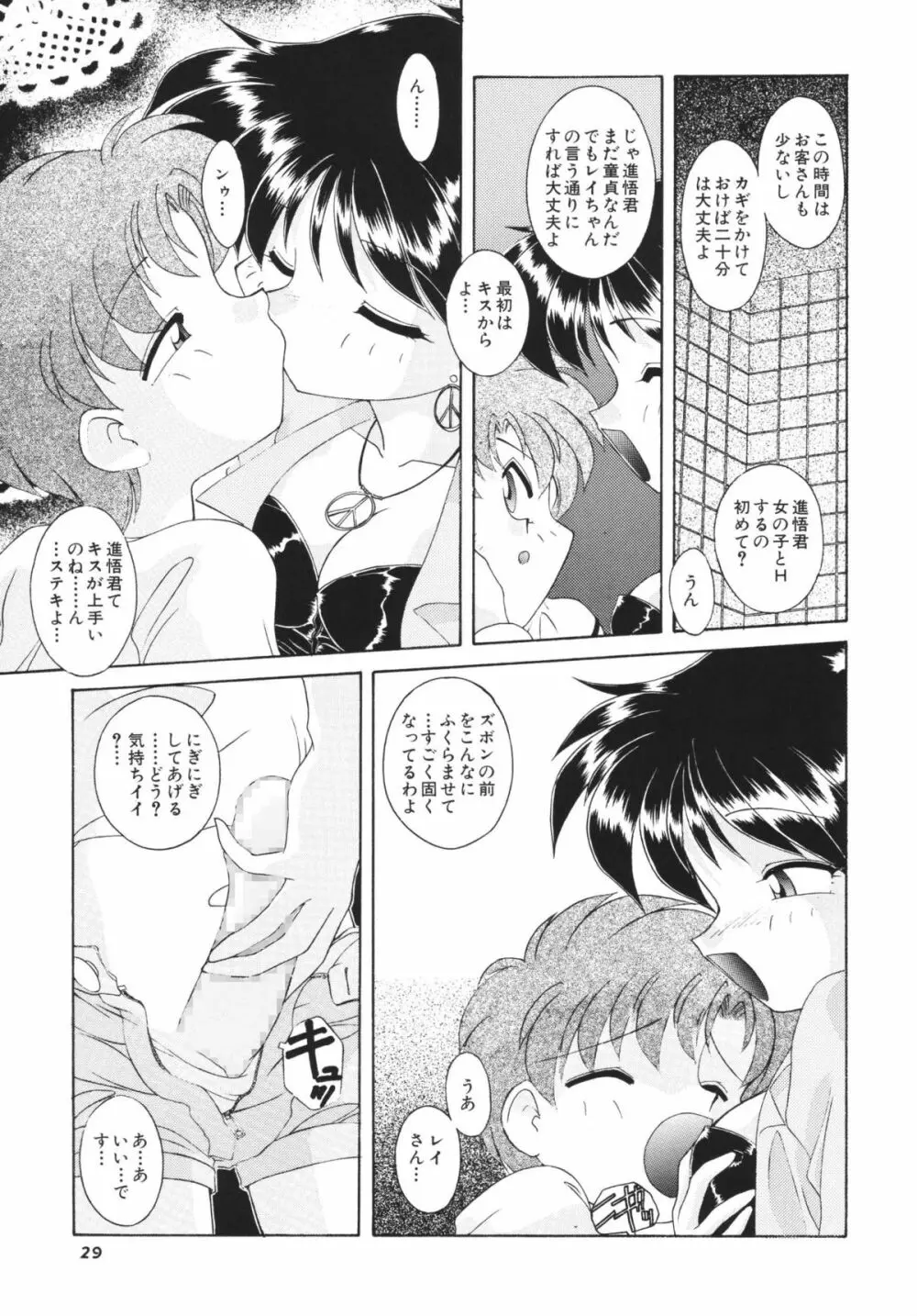 ムーンメモリーズVol.2 - page29