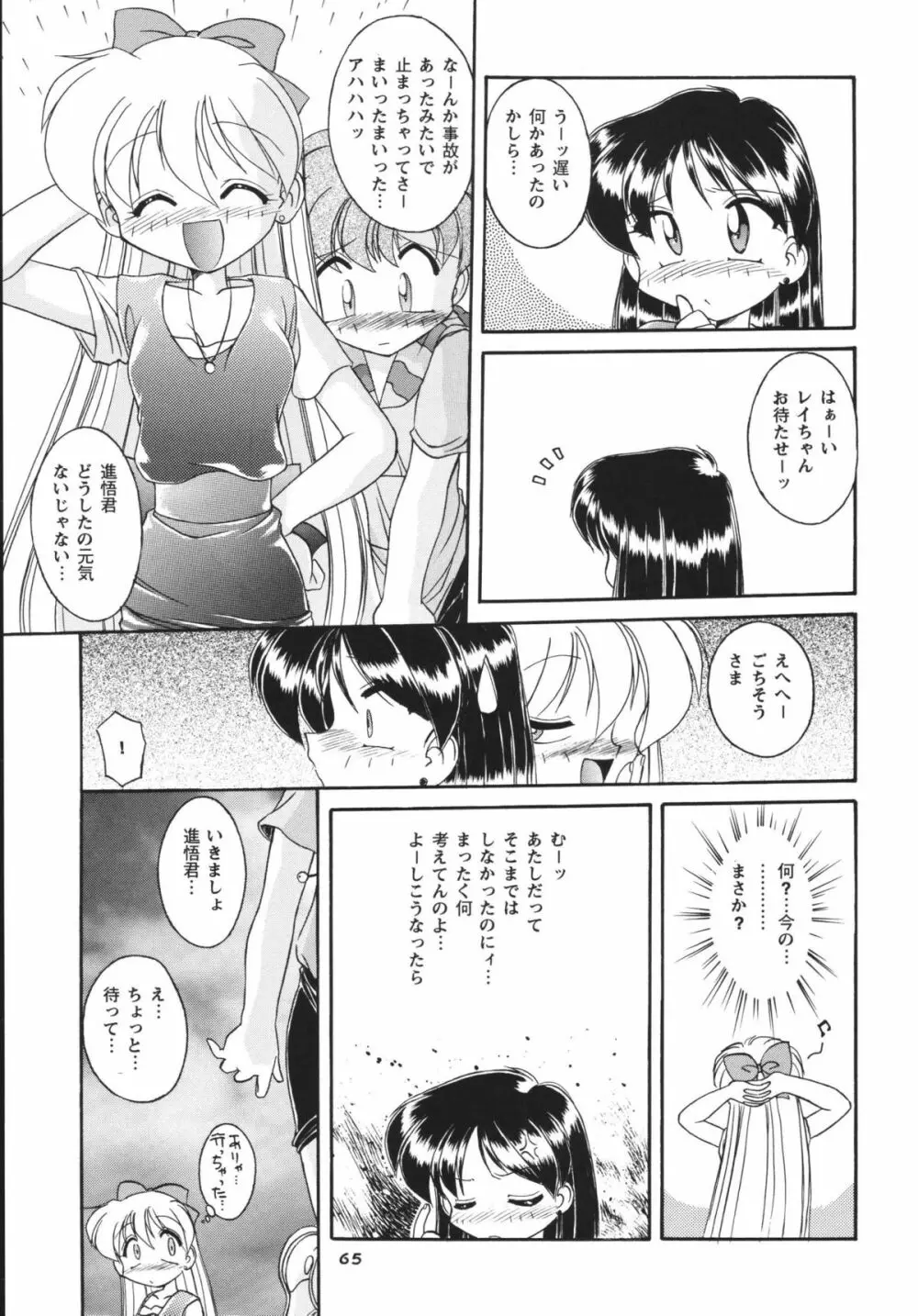 ムーンメモリーズVol.2 - page65