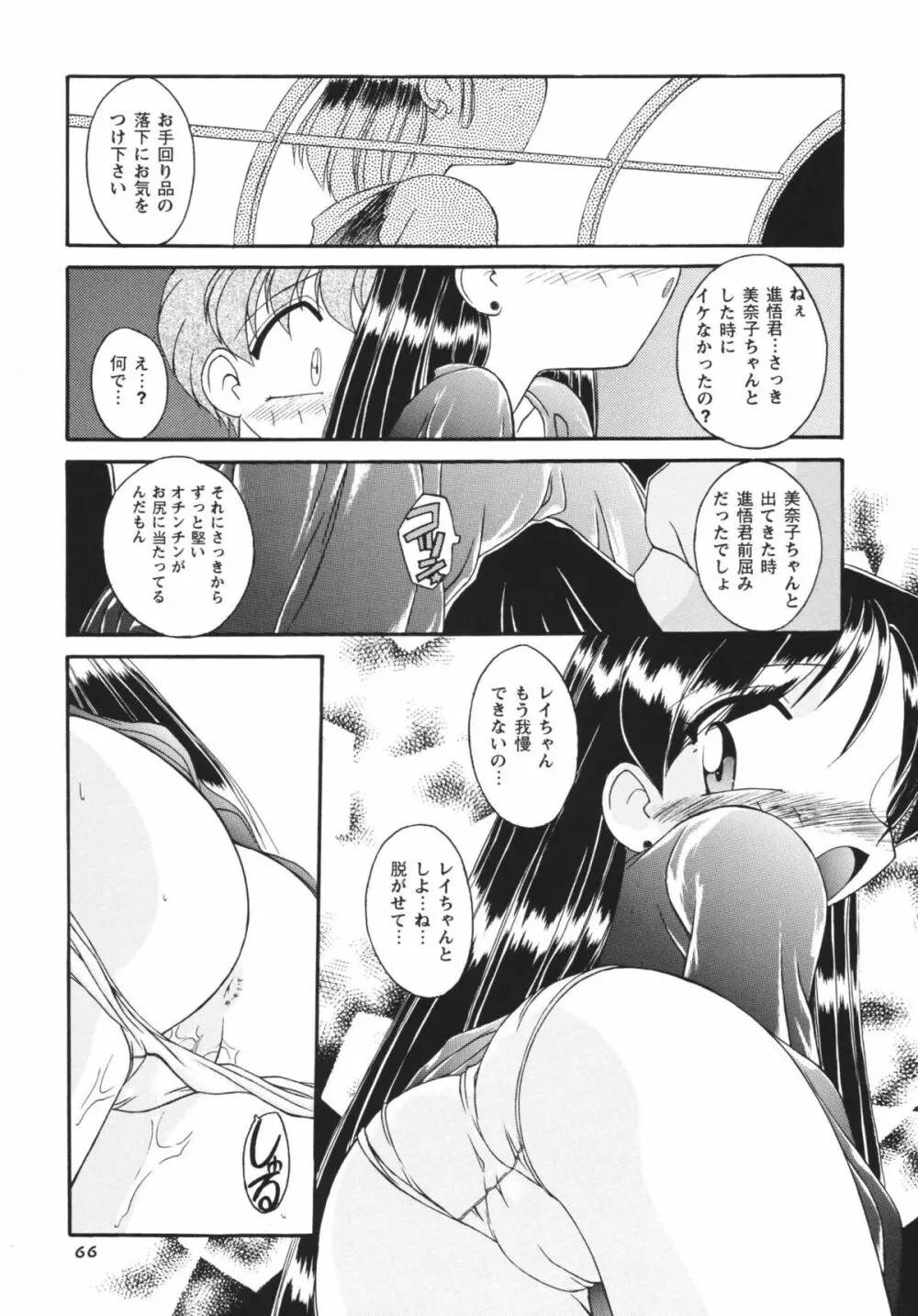 ムーンメモリーズVol.2 - page66