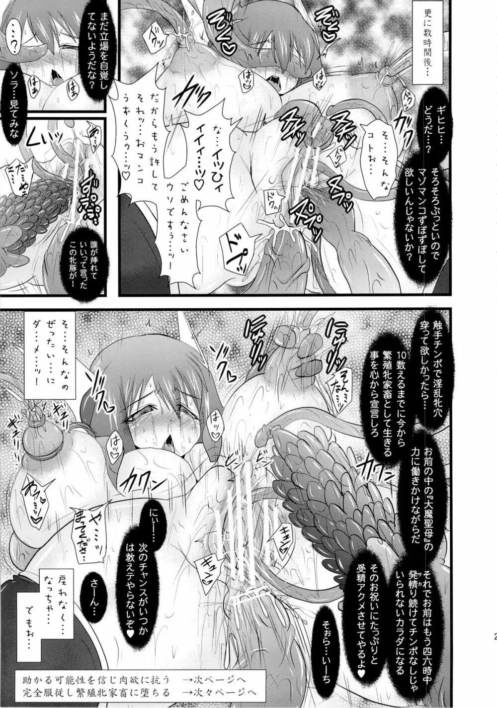 煌盾装騎エルセイン Vol.12 NETHER LABORATORY 2 - page26