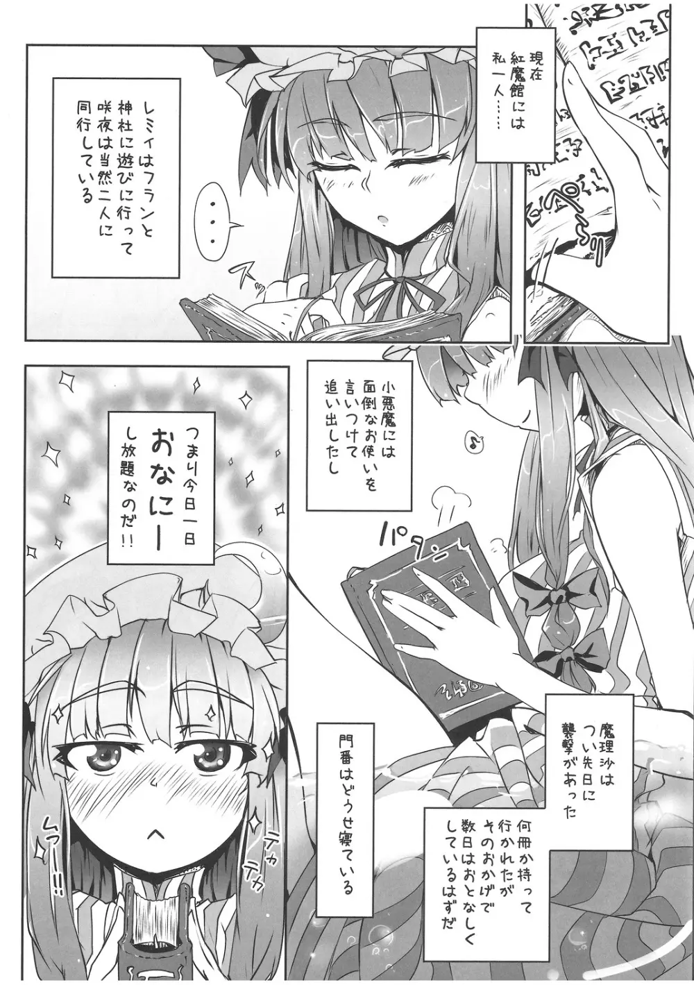 ぱちゅにーのひみつ - page4