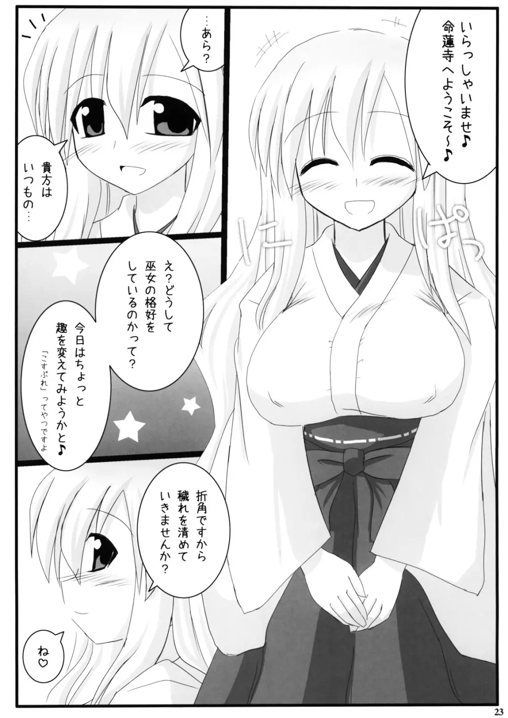 幻想郷巫女×巫女図鑑 - page21