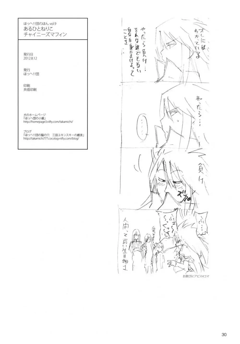 ほっへ!!団のほん vol.9 あるひとねりこ　チャイニーズマフィン - page28
