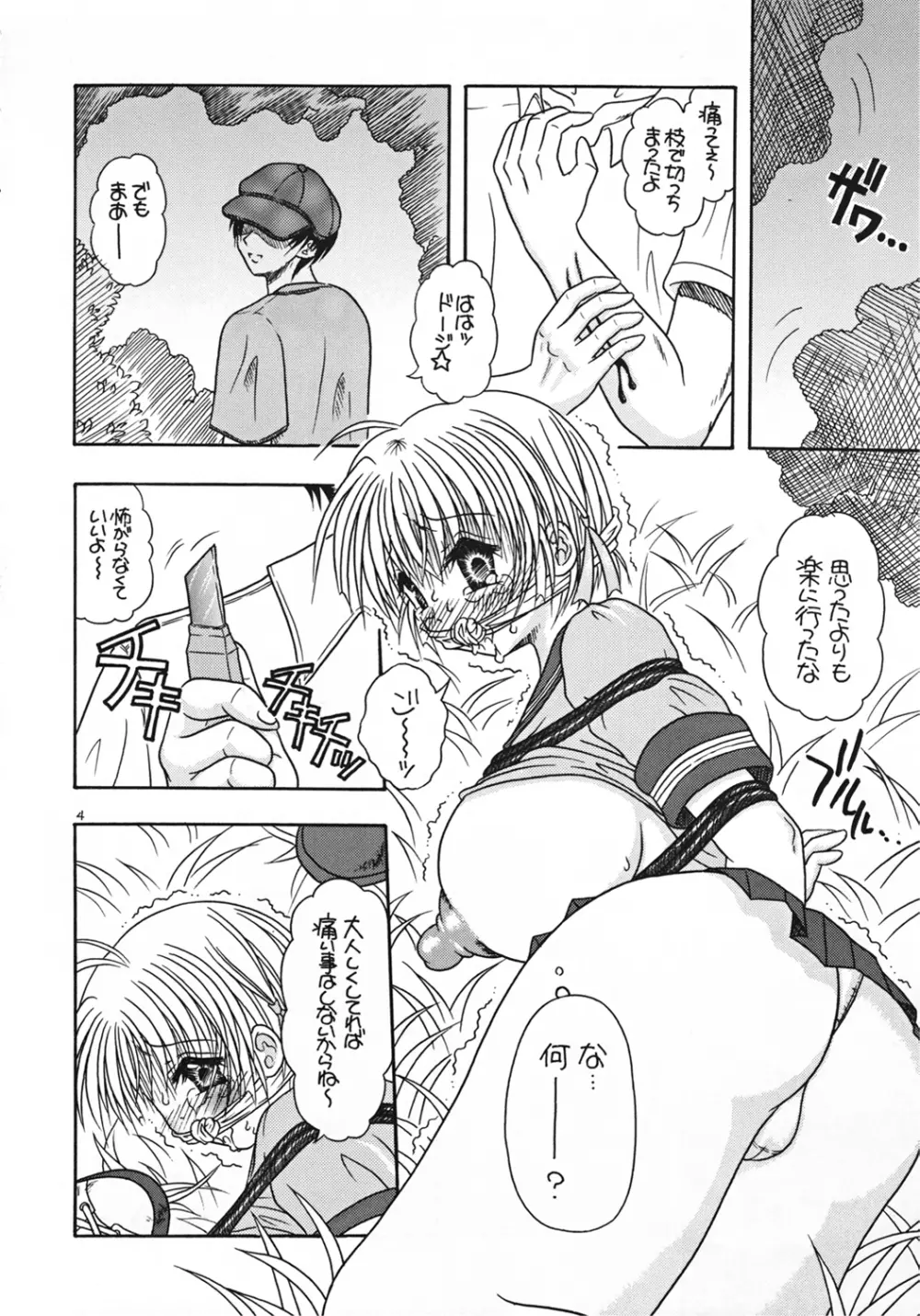 つかもと印刷 特乳パック - page4