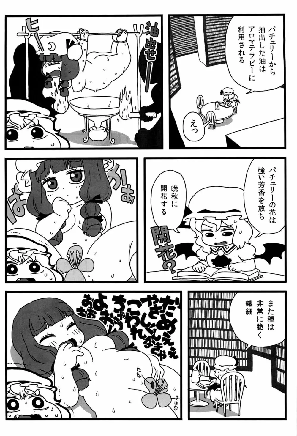 パチュリーがいっぱい - page10